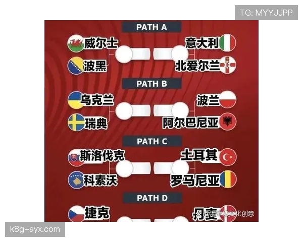 波黑冲击2026世界杯：晋级前景与阵容挑战分析